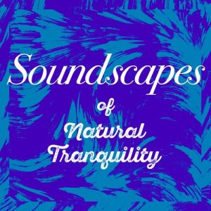 Soundscapes!的專輯Soundscapes of Natural Tranquility