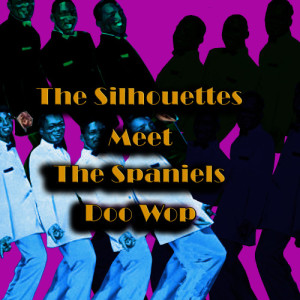 收聽The Silhouettes的I Am Lonely歌詞歌曲