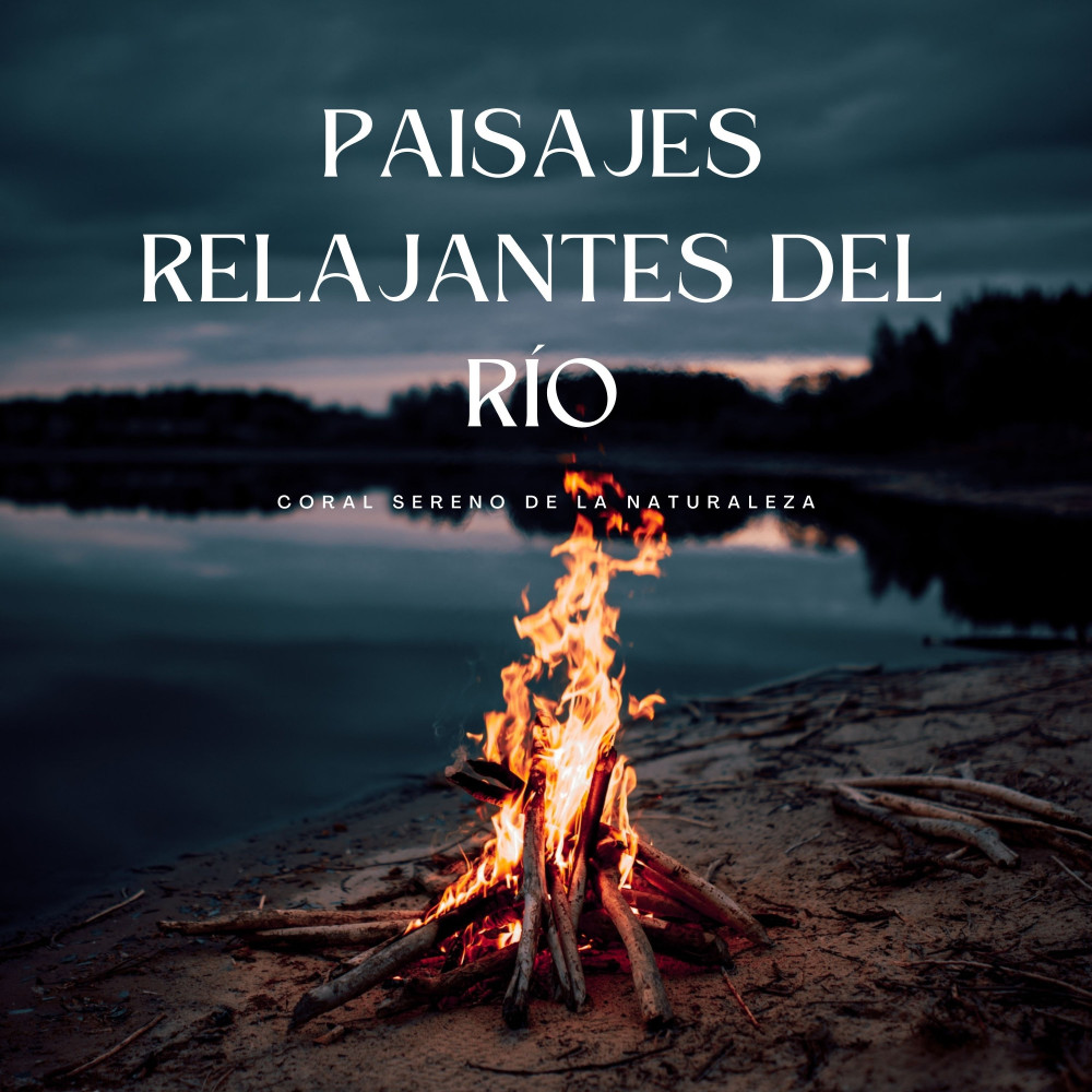 Serenidad Del Flujo De Paz