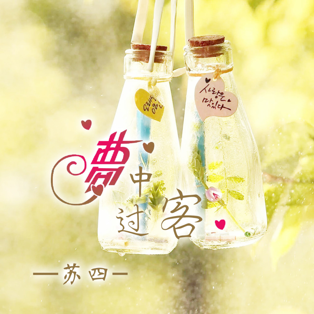 梦中过客 (伴奏)