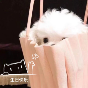 Album 生日快乐 from 白允y