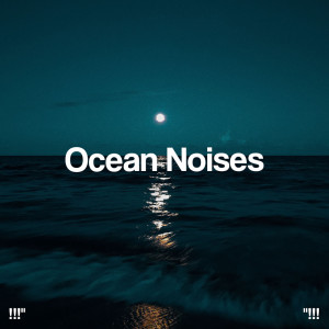Album !!!" Ocean Noises "!!! from Ocean Sounds