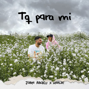 ดาวน์โหลดและฟังเพลง Tq para mi ✨ พร้อมเนื้อเพลงจาก Juan Rached