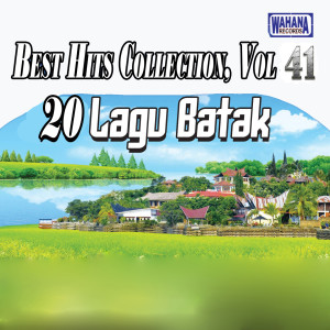 Album Best Hits Collection, Vol. 41 oleh Various Artists