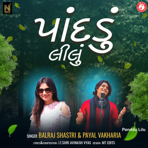 Listen to Panddu Lilu song with lyrics from Balraj Shastri