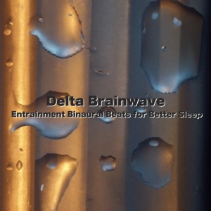 Album Delta Brainwave Entrainment Binaural Beats for Better Sleep oleh Relaxing Deep Sleep