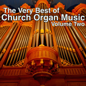 Listen to Toccata and Fugue in D Minor song with lyrics from Kevin Bowyer at the Organ of St. Mary Redcliffe, Bristol