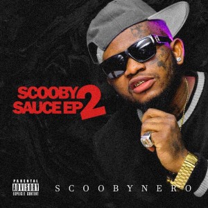 Listen to Government Earner (Explicit) song with lyrics from Scooby Nero