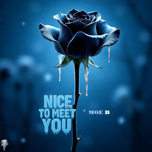 Listen to NICE TO MEET YOU song with lyrics from Moe D