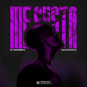 收聽Dj Sombra的Me Gusta (Radio Edit)歌詞歌曲