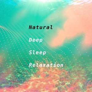 อัลบัม Natural Deep Sleep Relaxation ศิลปิน Deep Sleep Meditation