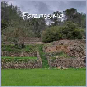 Listen to Fortissimo song with lyrics from Nael Theh