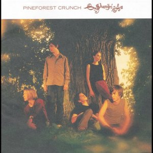 ดาวน์โหลดและฟังเพลง Hey Little Girl พร้อมเนื้อเพลงจาก Pineforest Crunch