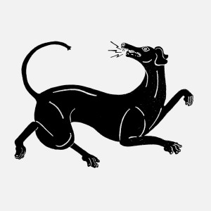 Album BLACK DOG / WHITE HORSE from BIG SPECIAL