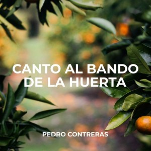 ดาวน์โหลดและฟังเพลง Canto Al Bando De La Huerta พร้อมเนื้อเพลงจาก Pedro Contreras