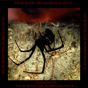 Lee Bannon的專輯Never/Mind/The/Darkness/Of/It...