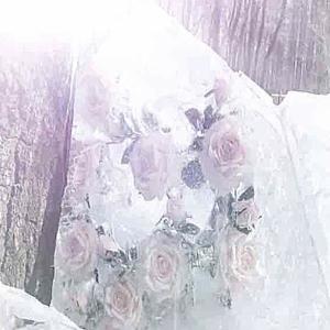 收聽KidSnorlax的my fault (feat. Keta) (Explicit)歌詞歌曲