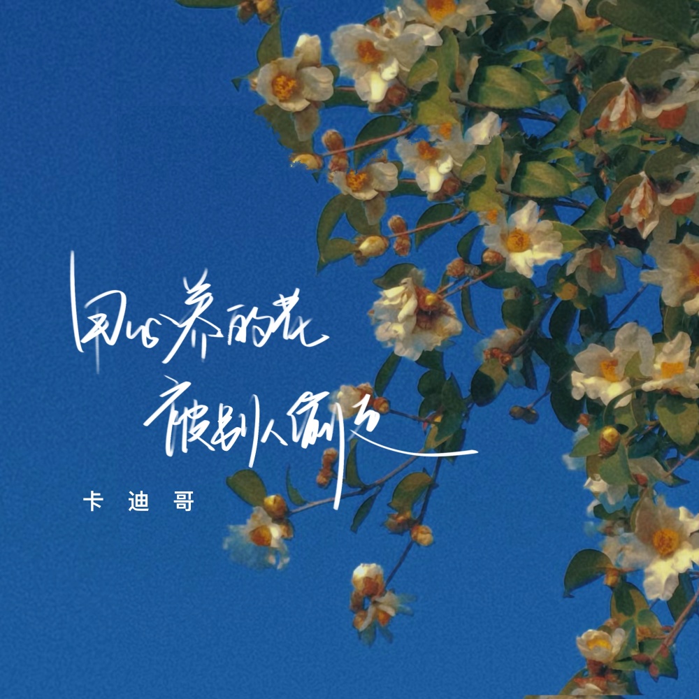 用心养的花被别人偷走 (伴奏)