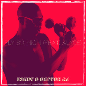 Album Fly so High (Remix) from 