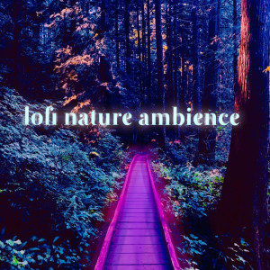 Listen to Lofi Rain White Noise song with lyrics from Atmosphere Asmr
