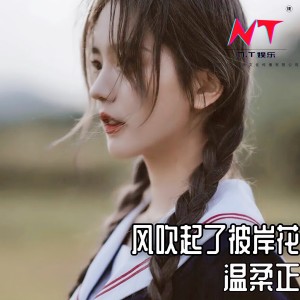 Album 风吹起了彼岸花 from 温柔正