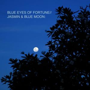 ดาวน์โหลดและฟังเพลง ヴィヴィアンヌ พร้อมเนื้อเพลงจาก BLUE EYS OF FORTUNE