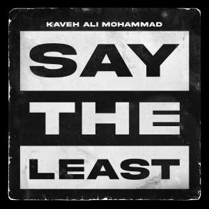 Kaveh Ali Mohammad的专辑Say The Least (Explicit)