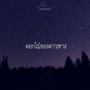 ดาวน์โหลดและฟังเพลง ดอกไม้ของดาวหาง พร้อมเนื้อเพลงจาก Freehand