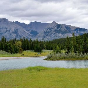 收聽SPA的Tibetan Forest Meditation歌詞歌曲