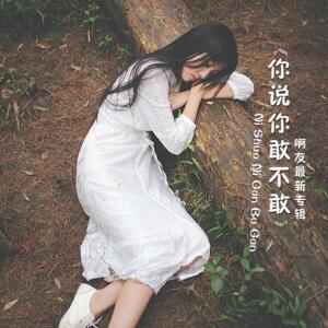 Listen to 你说你敢不敢 (伴奏) song with lyrics from 杨友洪