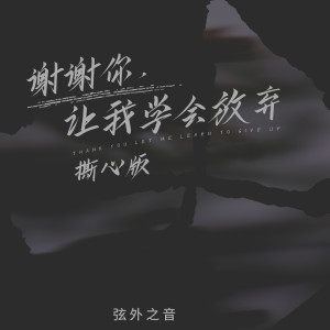 Listen to 谢谢你，让我学会放弃 (撕心版) song with lyrics from 弦外之音