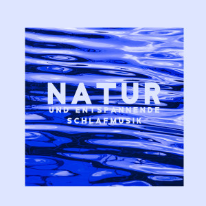 Listen to Schlaf Meditation Geführt song with lyrics from Tiefenentspannung Academy