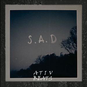 Listen to Sad Lofi Beat 'Matters' song with lyrics from Ativ Beats