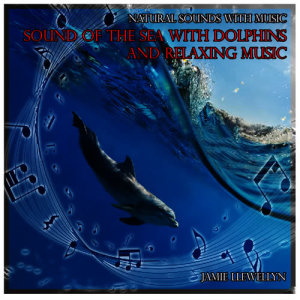 收聽Jamie Llewellyn的Natural Sounds with Music: Sound of the Sea with Dolphins and Relaxing Music歌詞歌曲