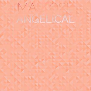 Album Maltose Angelical oleh Various