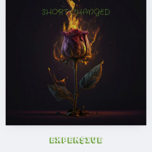 Album Short Changed (Explicit) from Expen$ive