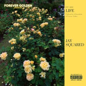 Album Life (Explicit) oleh whyandotte