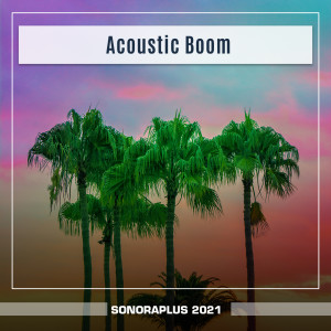 Listen to Viscount (Radio Vrs.) song with lyrics from Veutro & Taccarelli