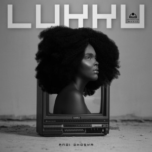 Andi Dhoska的专辑Lukku (Explicit)