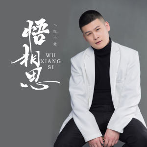 Album 悟相思 from 张小健
