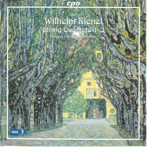 Thomas Christian Ensemble的專輯Kienzl: String Quartets Nos. 1-3