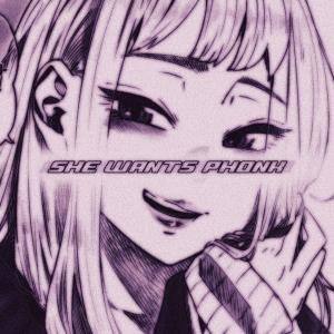 收聽DXNT L13的She Wants Phonk歌詞歌曲