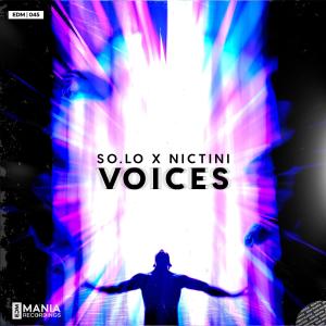 NicTini的專輯Voices (Radio Edit)