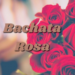 Album Bachata Rosa from Kiko Rodriguez