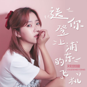 ดาวน์โหลดและฟังเพลง 送你登上浦东的飞机 (DJ伟伟版) พร้อมเนื้อเพลงจาก 刘增瞳