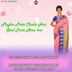 Listen to Mujhe Pata Chala Hai Seel Tuta Hua Hai song with lyrics from Vicky Bedardi Yadav