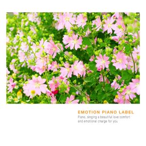 Listen to I Hold You In My Arms song with lyrics from Na Yeonhui