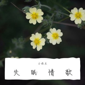 收聽小雨點的失眠情歌歌詞歌曲