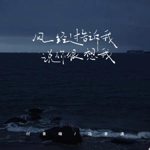 Listen to 风经过告诉我说你很想我 song with lyrics from 付青峰