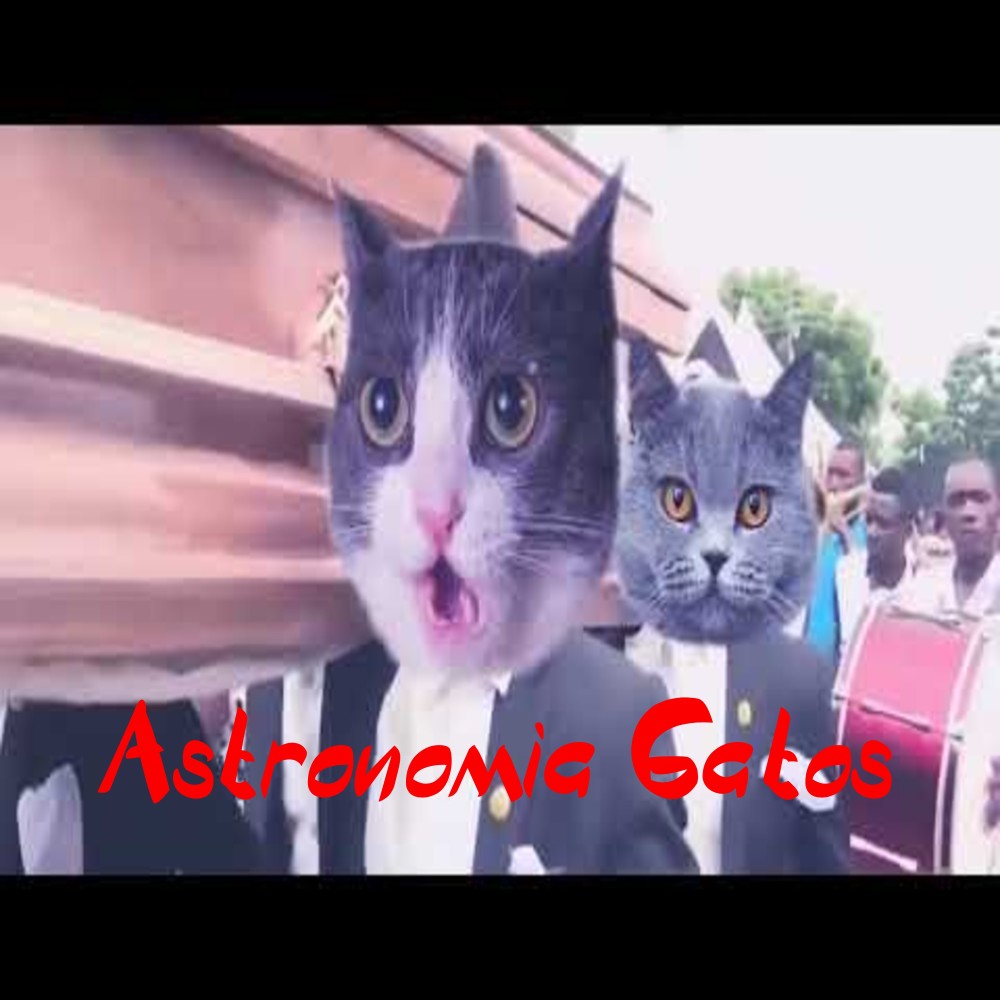 Astronomia Gatos Dance